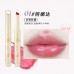 Flortte Heart Shape Beauty Chu Jelly Lipstick 花洛莉亚果冻初吻棒 1.4g