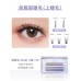 EVERBAB Individuals Natural False Eyelashes 艾蓓拉单簇假睫毛