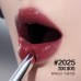 Perfect Diary Silver Wing Stiletto Lipstick Saturated Rouge 完美日记聚色水光滋润细管口红 0.8g