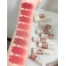 HOLD LIVE Bunny Garden Matte Velvet Lipstick 兔兔花园哑光丝绒唇膏3.8g