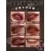 HYNTOOR Reverse Macron Powder Lip Mud 3.5g 黑兔反转马卡龙粉感唇泥