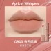 FOCALLURE Flowers Butterflies Series Matte Lip Gloss 2g 菲鹿儿浮蝶系列哑光唇釉