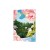 Fan Beauty Secret Peony Luminous Pink Deep Hydrating Facial Mask 5Pcs 芍药粉光面膜保湿面膜