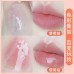 DIJIA Moisturising and Nourishing Lip Oil Hydrating Mirror Lip Glaze 3ml 缔葭保湿滋润唇油水光镜面唇釉
