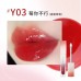 DIJIA Moisturising and Nourishing Lip Oil Hydrating Mirror Lip Glaze 3ml 缔葭保湿滋润唇油水光镜面唇釉